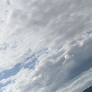 Meet your Posher, Kenzie